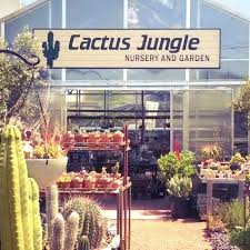 Thomsen's garden center 1113 lincoln ave. Cactus Jungle Home Facebook