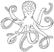 See more ideas about easy octopus drawing, octopus drawing, octopus. Easy Octopus Line Drawing Novocom Top