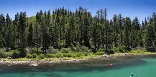 River and trees photo 1_river_trees.gif. The River Gif Nature Gifs Beautiful Gif River Gif