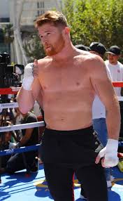 Saul canelo alvarez training highlights 2019 saúl álvarez, is a mexican professional boxer. Photos Canelo Alvarez In Top Form Training For Golovkin Boxing News