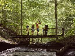 Explore an array of lake cumberland state resort park, jamestown vacation rentals, including cabins, houses & more bookable online. Lake Cumberland State Resort Park Ky Parks