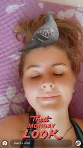 My Life & Friends as Pigeons