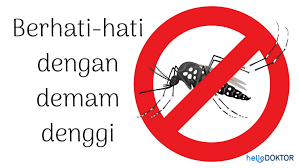 Demam pendarahan demam denggi (dbd). Sup Ketam Boleh Merawat Demam Denggi Fakta Atau Auta