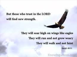 But Those Who Trust In The Lord Will Find New Strength They Will Soar High On Wings Like Eagles They Will Run And No Isaiah In Christ Alone Wings Like Eagles