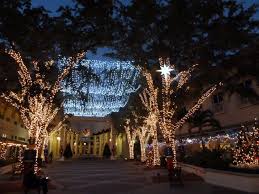 Where S Eldo Florida Christmas Spirit And Naples At Night Florida Christmas Naples Florida