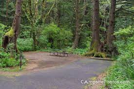 Beverly Beach State Park Campsite Photos Campsite Availability Alerts State Parks Campsite Beach