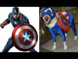 ماذا لو كان الابطال الخارقين كلاب صور و سبايدر مان هالك وبات مان youtube captain america character fictional characters