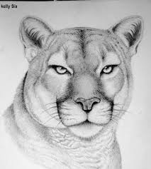 Pin En Animal Paint Drawing