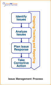 Issue Management All You Need To Know About Pmbok S Missing Process Pmbok Management Business Analyst