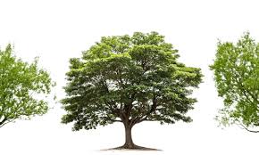 Magdaline M. Blount Obituary (1940