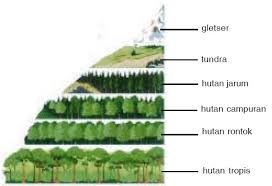 Lokasi iklim bentuk muka bumi flora dan fauna negara amerika serikat. Keanekaragaman Flora Dan Fauna Di Dunia Dan Indonesia