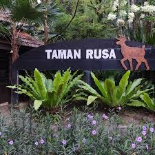 Jul 01, 2021 · seorang anak tengah memberi makan rusa di area luar taman balekambang, solo, jawa tengah. Photos At Taman Rusa Kancil Kl Deer Park 9 Tips