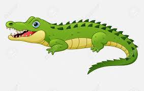 Maybe you would like to learn more about one of these? Cartoon Crocodile Isolated On White Background Royalty Free Cliparts Vectors And Stock Illustration Image 104760861