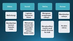 Sains peta minda tingkatan 2. Download Nota Sains Tingkatan 2 Yang Bernilai Untuk Para Guru Cetakkan Pendidikan Abad Ke 21