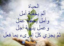 لكل مجتهد نصيب شعر