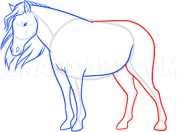 How To Draw A Horse For Beginners Step By Step Drawing Guide By Dawn Dragoart Com Use light, smooth strokes to begin. how to draw a horse for beginners step