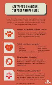 Pin On Emotional Support Animals