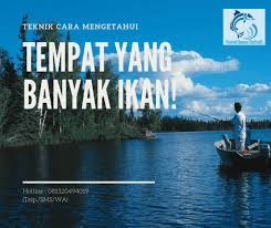 Cara panen ikan nila di kolam. Teknik Jitu Mengetahui Tempat Yang Banyak Ikan Di Sungai Atmago