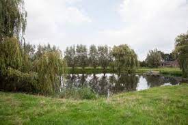 We did not find results for: Wiel Leestekens Van Het Landschap