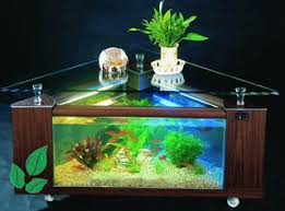 Ikan hias merupakan hewan peliharaan yang banyak dipelihara karena banyaknya jenis mulai dari bentuk, ukuran, sampai. Pin Oleh Aris Purwanto Di Budidaya Ikan Hias Akuarium Aquarium Ikan Aquarium