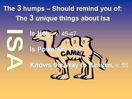 How the camel got his hump comprehension check (page5). The Camel Method Used By Permission Of Wigtake