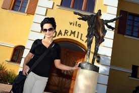 Photos, address, and phone number, opening hours, photos, and user reviews on yandex.maps. Vila Jarmila Hotel Akademie Velke Bilovice