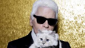 Kucing Lucu Karl Lagerfeld Bakal Mewarisi Kekayaan Tuannya Senilai Rp 2,8  Triliun?