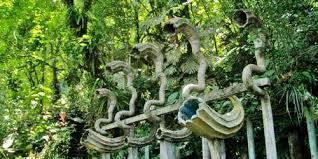 Panoramio Photos By Noe Mendoza Xilitla Natural Waterfalls Landscape Features Outdoor