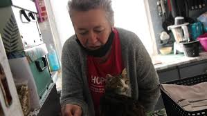 Attention, tant que votre plainte n'est pas signée au commissariat de police ou à la brigade de gendarmerie, vous êtes civilement et pénalement responsable en cas d'accident, d'infraction au code de la route ou d'autre infraction commise avec votre véhicule, lorsque vous venez déclarer le vol de. Pourquoi Les Chats Tombent Ils Malades A Maucourt