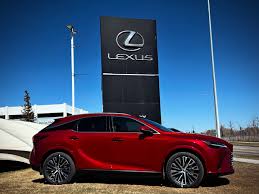 Image result for Matador Red 2010 RX