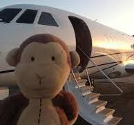 Traveling Monkey