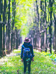 Lokasi pilihan adalah kebun bibit wonorejo (kebun bibit 2) dan taman. Hutan Karet Kalijati Nikmati Sejuk Spot Instagrammable Di Subang Lifestyle Fimela Com