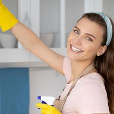 Dana's Housekeeping San Diego, CA