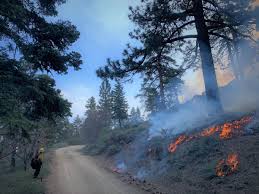 We did not find results for: San Bernardino National Forest On Twitter If You Are Dispersed Camping It Is Important To Not Drive Far Off Roads Vehicles May Be Parked Within One Vehicle Length From The Edge Of