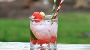 watermelon gin and tonic recipe gin and tonic tonic recipe summertime cocktail