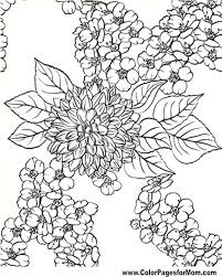 31+ 80s coloring pages for printing and coloring. Advanced Coloring Pages Flower Coloring Page 80 Flower Coloring Pages Coloring Pages For Grown Ups Art Drawings Sketches Simple