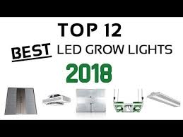 Designed with the latest technology, the sol 9 450 watt led grow light can provide your plants with all of the essential light they require for fantastic growth through both vegetative and flowering stages. Best Led Grow Lights 2018 Cannabis Youtube