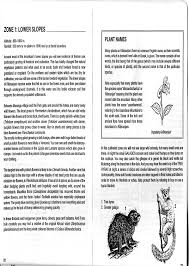 Image result for Streptocarpus milanjianus