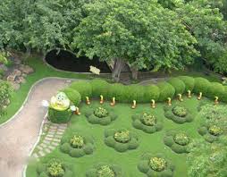 This Is Brilliant Gardening Garden Diy Home Flowers Roses Nature Landscaping Horticulture Beautiful Gardens Whimsical Garden Garden