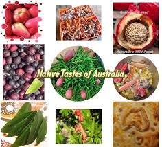 Pin On Australia To Do List