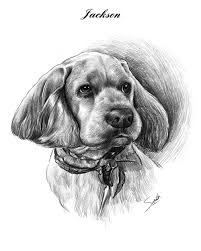 Main Sketching Image