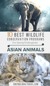 Saving Endangered Asian Animals 10 Best Conservation Ngos Wildlife Travel Volunteering With Animals Animal Conservation