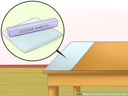 The minty smell on the kitchen countertop may be enough to keep your cat away. How To Keep Cats Off The Table And Counters Catwalls