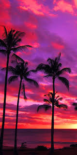 A pink beach sunset over the ocean in carmel, ca. Pin On Travel Pic Of The Day