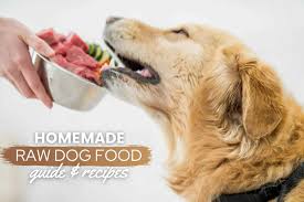 Nutro natural choice dental care dog food. Homemade Raw Dog Food Guide Easy Barf Diet Recipes Canine Bible