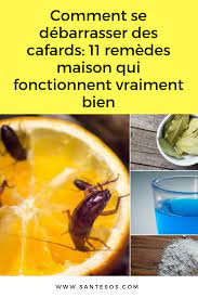 Maybe you would like to learn more about one of these? Epingle Sur Remede Contre Cafard