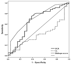 Image result for Bishop Score