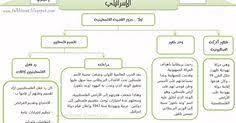 Pdf الحرب العالمية الاولى تلخيص درس Yahoo Image Search Results