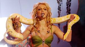 Image result for britney spears python
