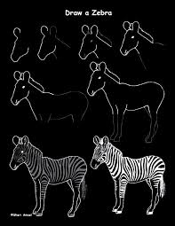 25 Quick How To Draw An Animal Cheat Sheet Drawings Animals Cheat Sheets
